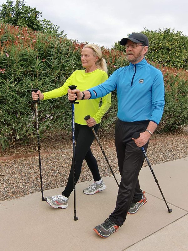 exerstrider_2piece_walking_stick